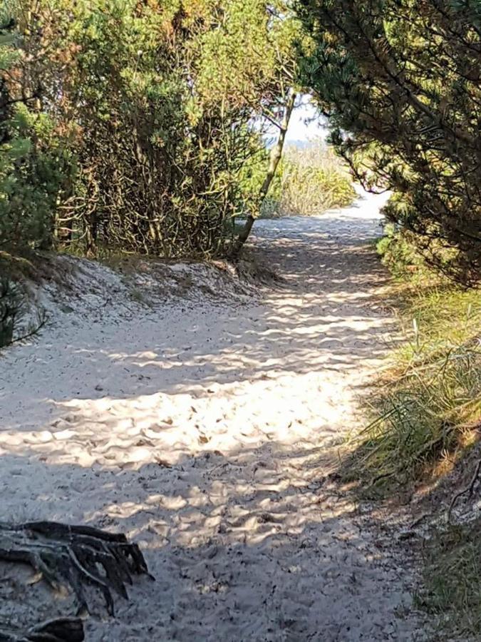 5 Zmyslow Akademia Wypoczynku Pokoje Otel Zieleniewo  Dış mekan fotoğraf